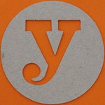 The letter y
